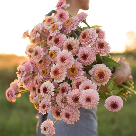 Floret Flowers